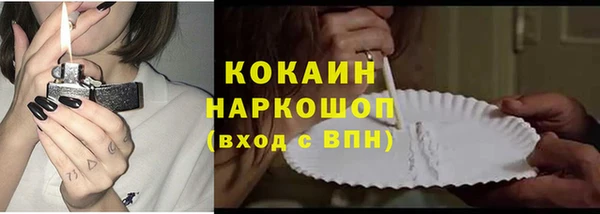 хмурый Алексин