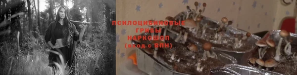 хмурый Алексин