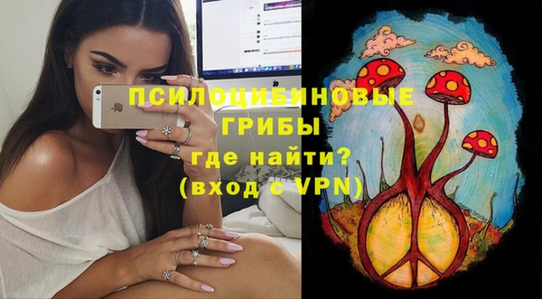 хмурый Алексин