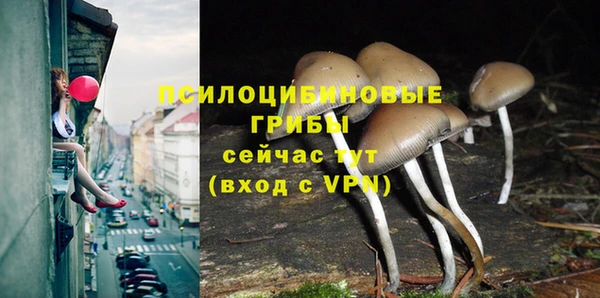кокс Алзамай