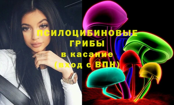 хмурый Алексин