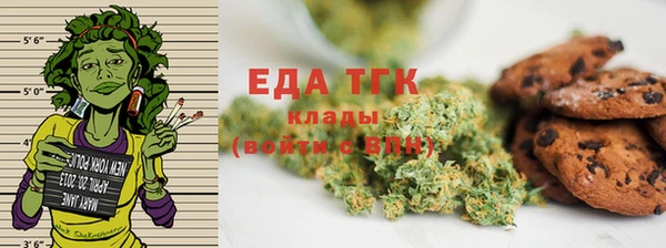 хмурый Алексин