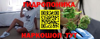 кокаин Шелехов