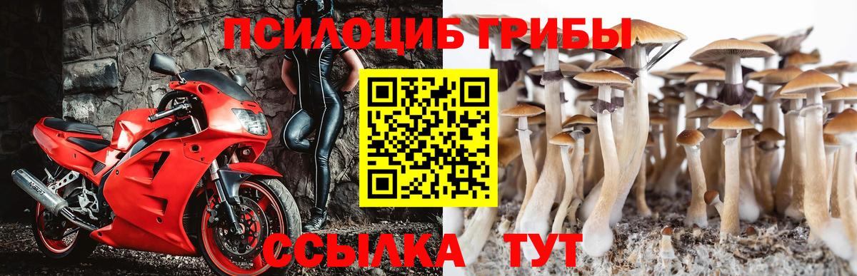 Галлюциногенные грибы Psilocybine cubensis  Галлюциногенные грибы мухоморы  Вход с VPN  Слободской 